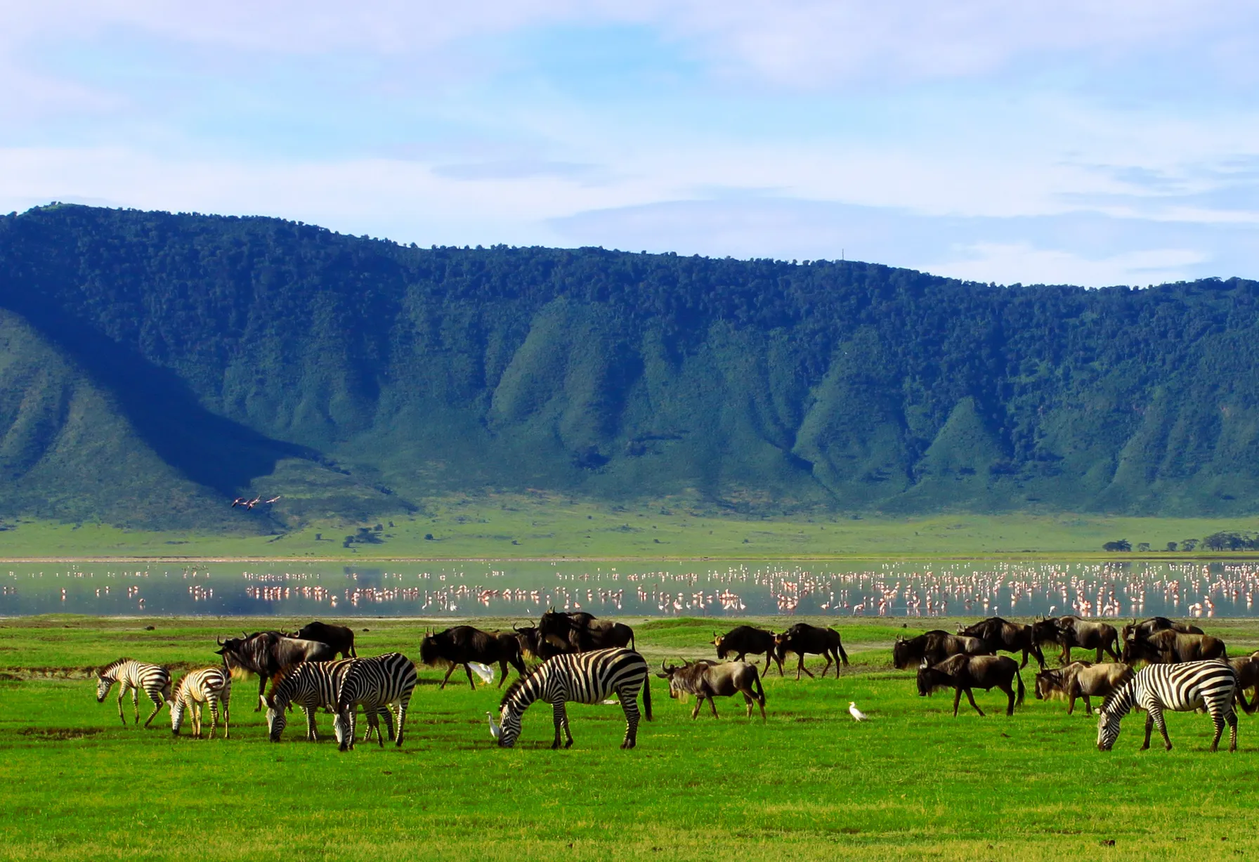 Image Tanzanie en février