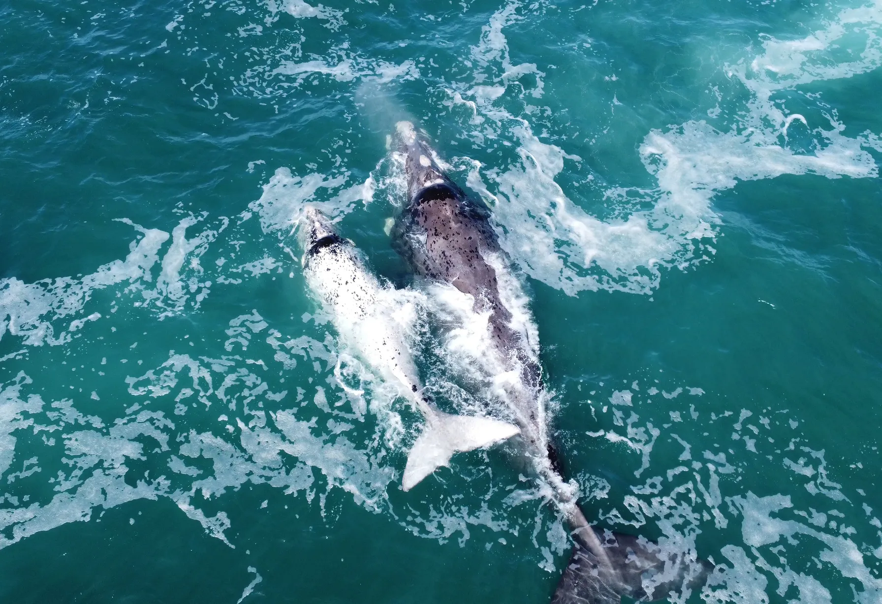 Image South Africa in April