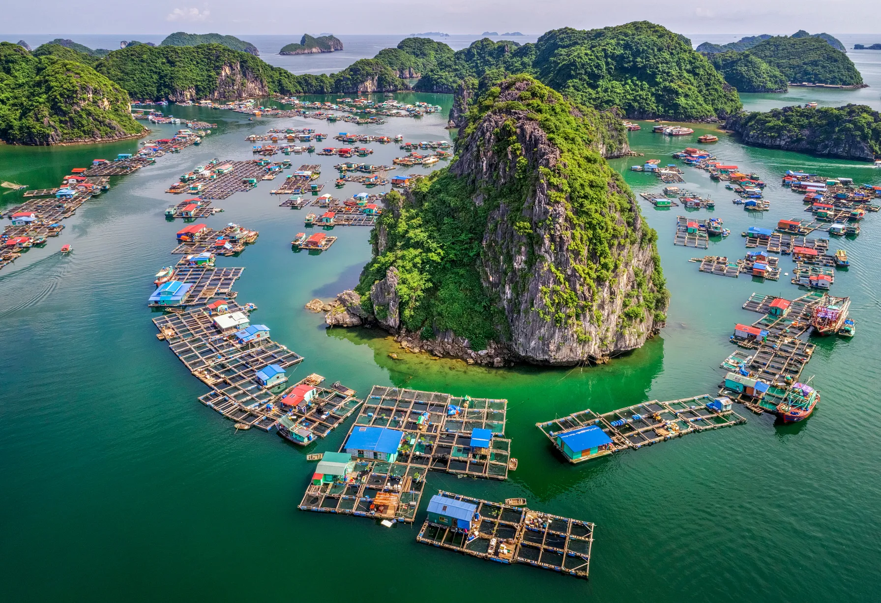 Image Vietnam en décembre