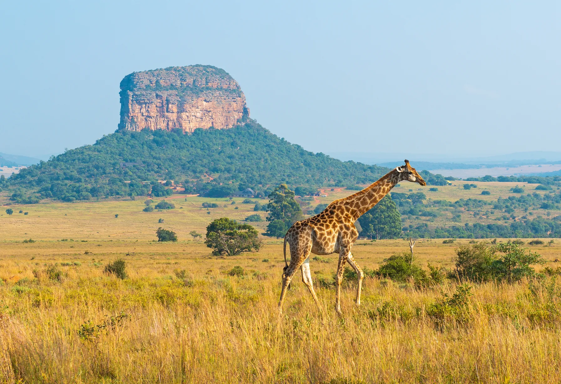 Image Afrique du Sud en septembre