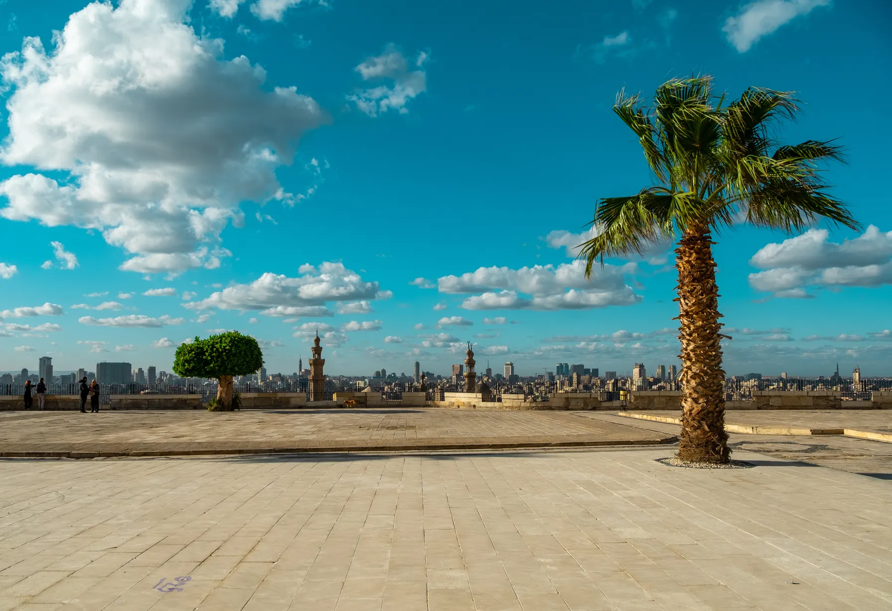 Image Cairo in December
