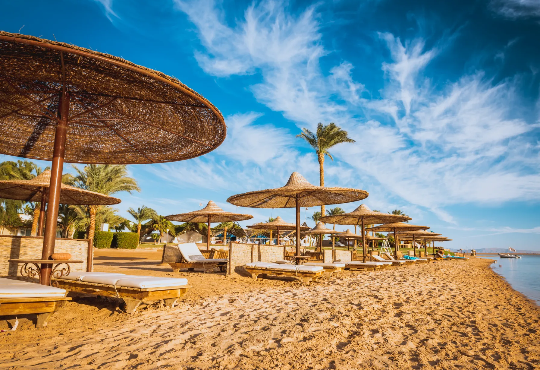 Image Red Sea in November