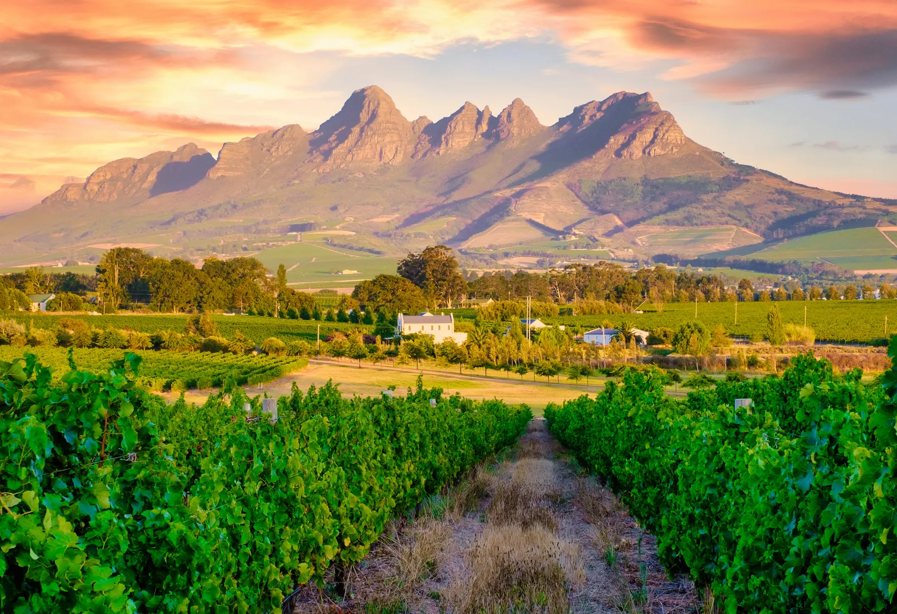 Image What to do in Stellenbosch