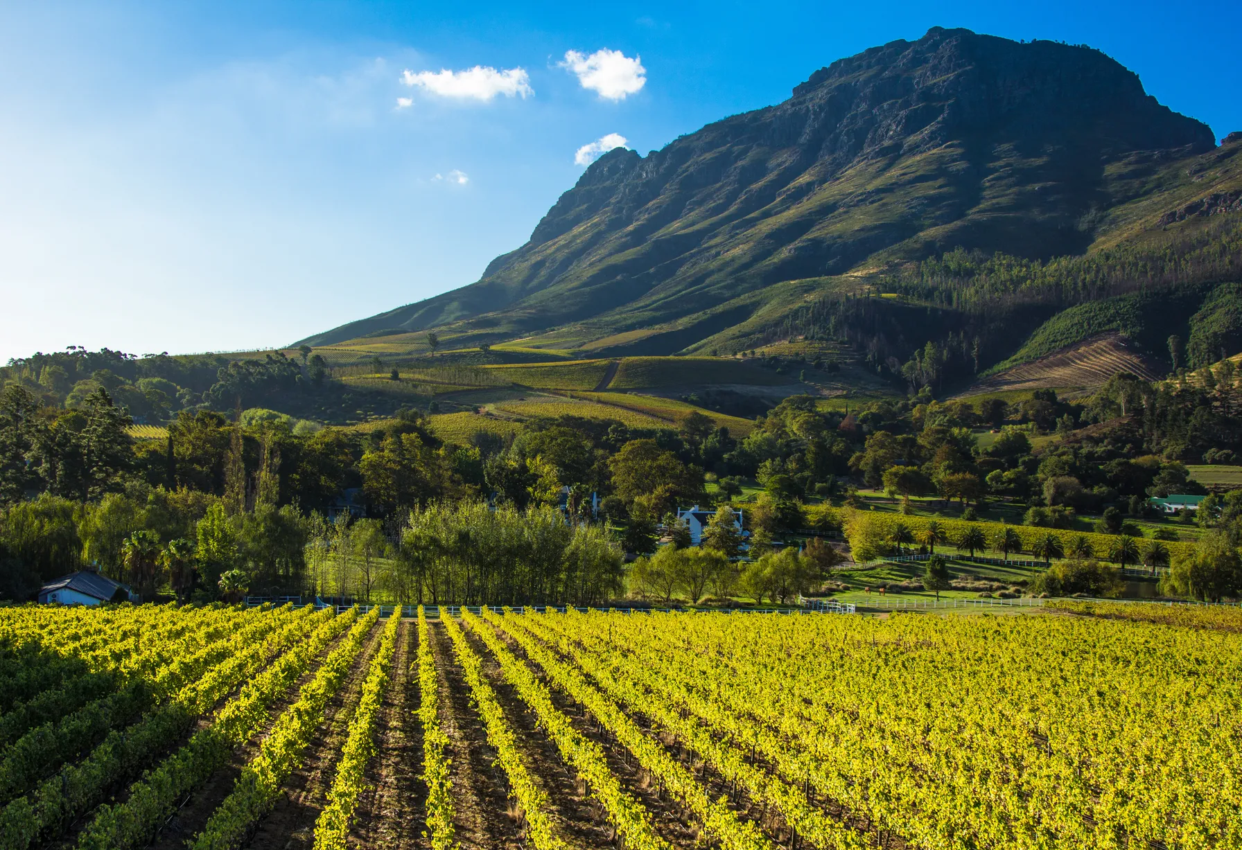 Image Afrique du Sud en août