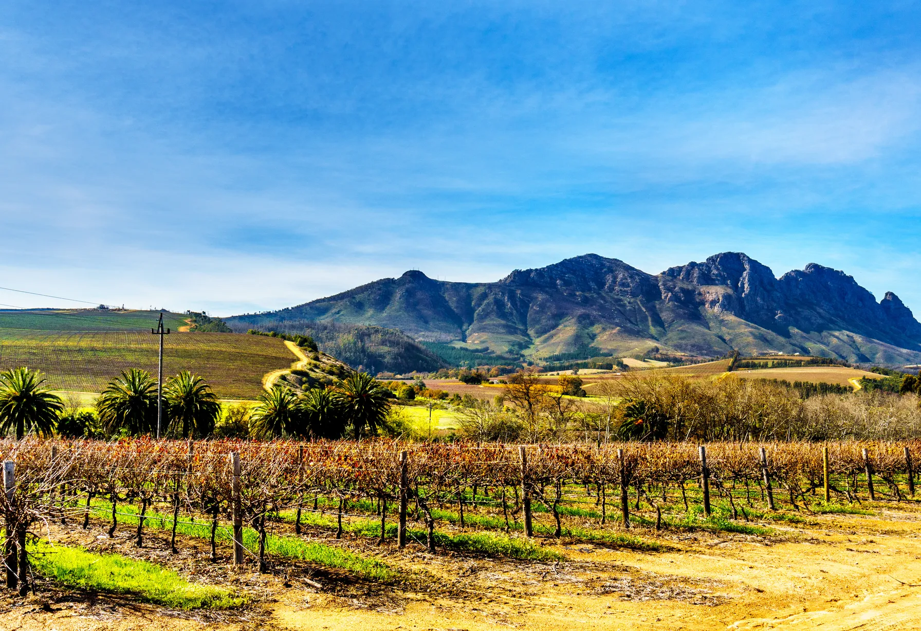 Image South Africa in January