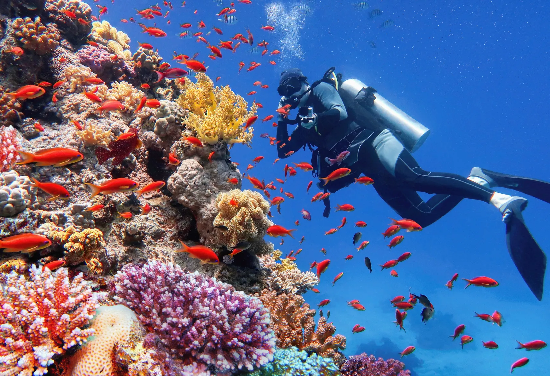 Image Sharm el Sheikh in November