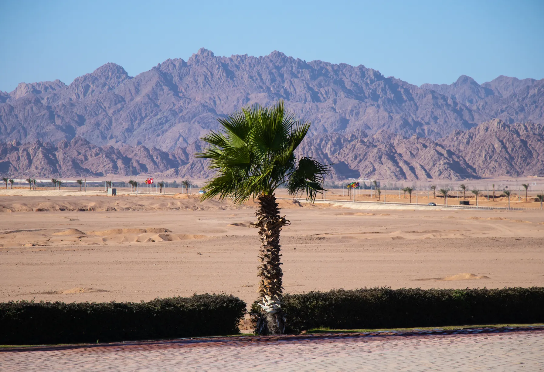 Image Sharm el sheikh en decembre