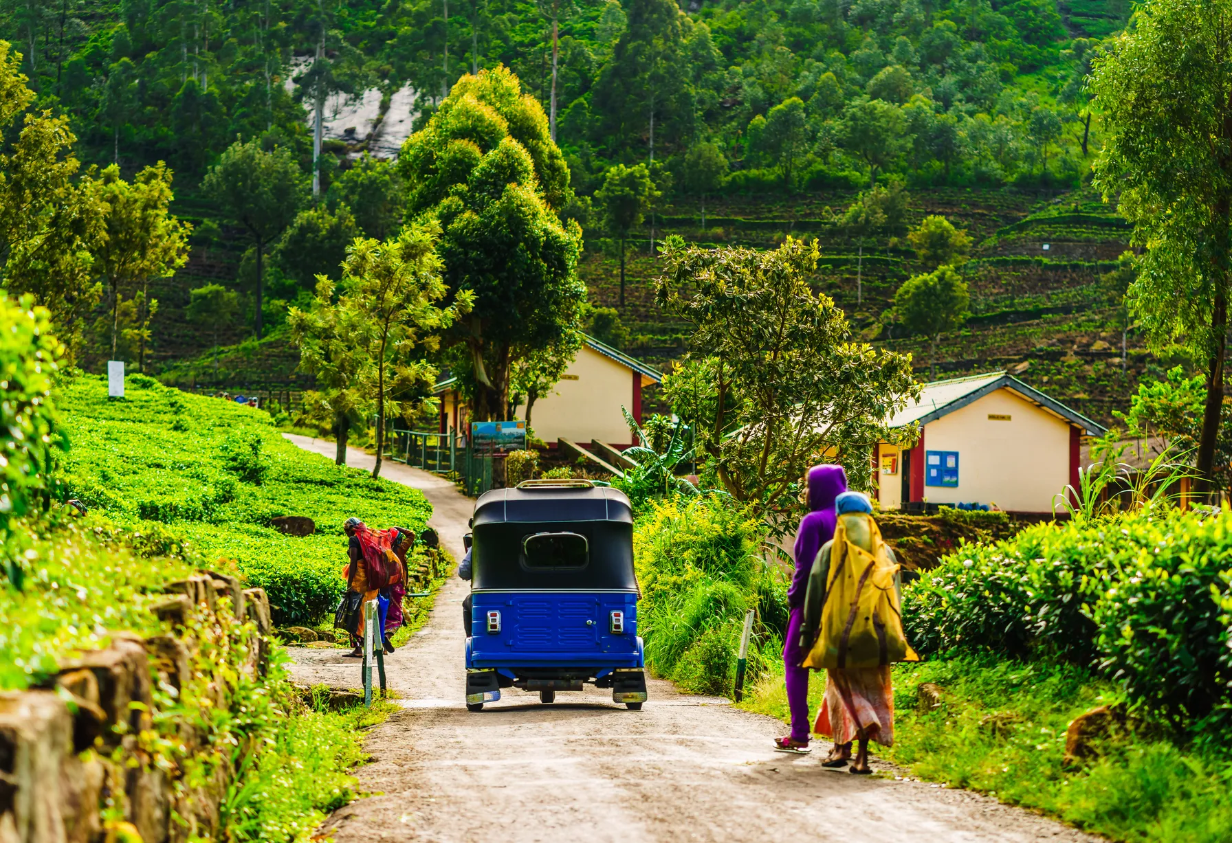 Image When to go to Sri Lanka