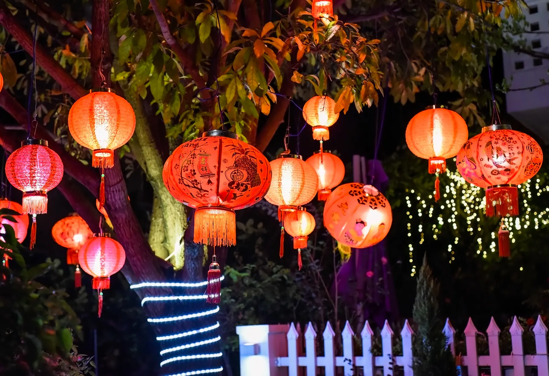 Image Vietnam en janvier