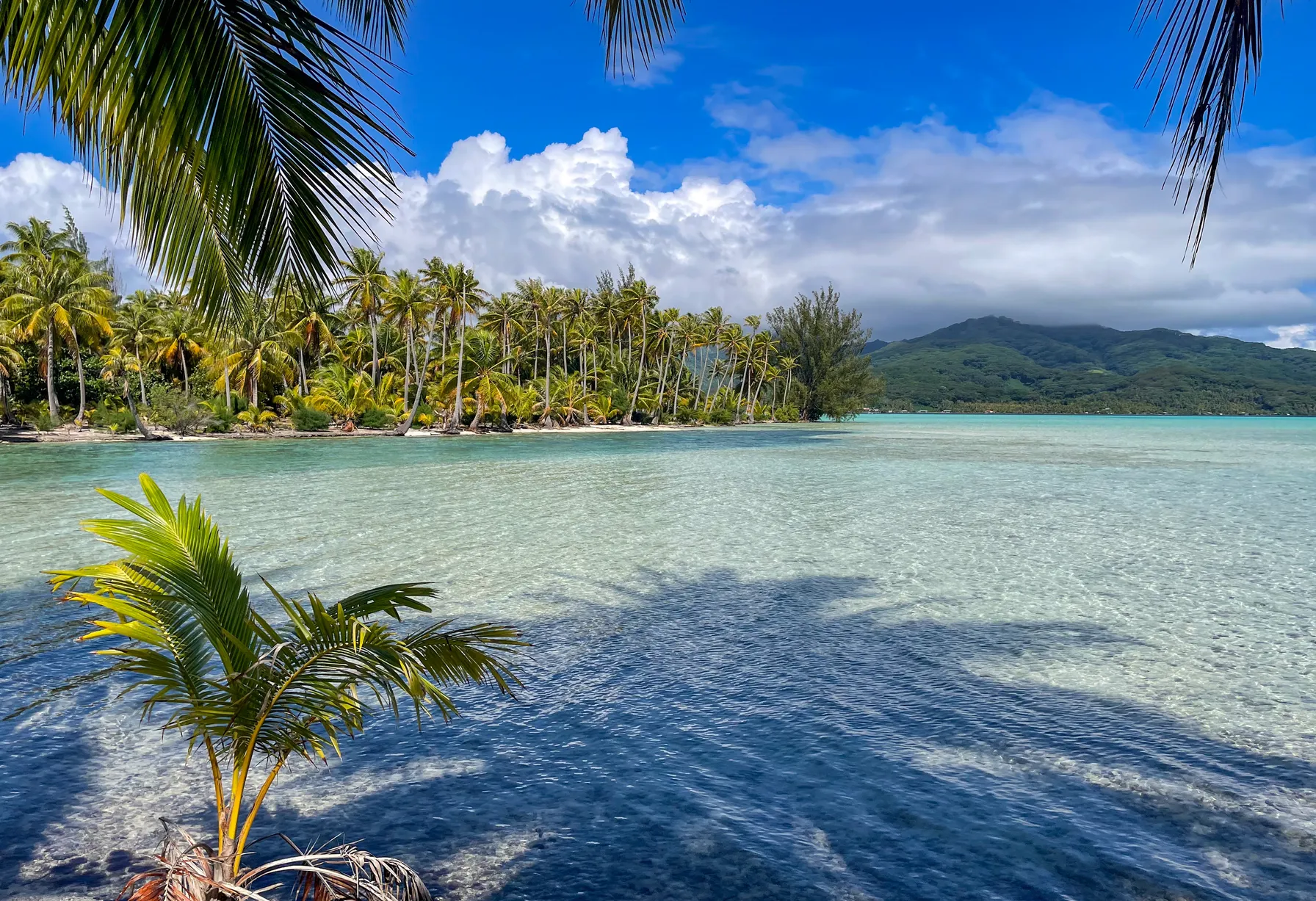 Image Bora Bora en mars