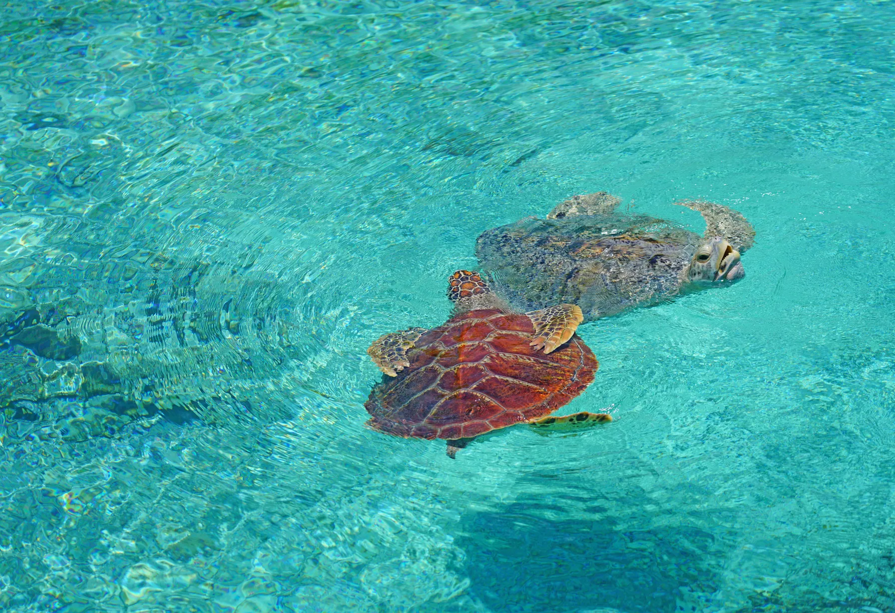 Image Bora Bora en septembre