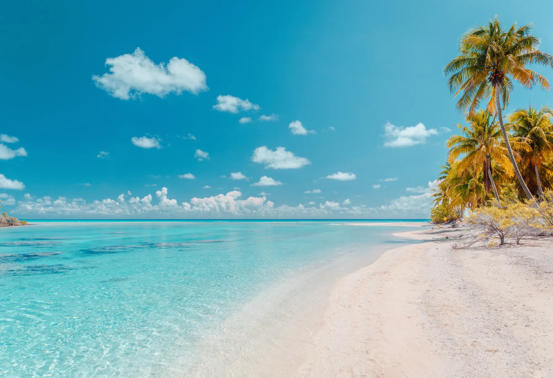 Image Plage à Rangiroa