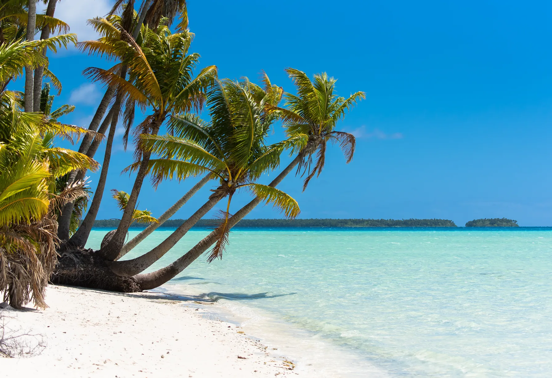 Image When to go to Tahiti