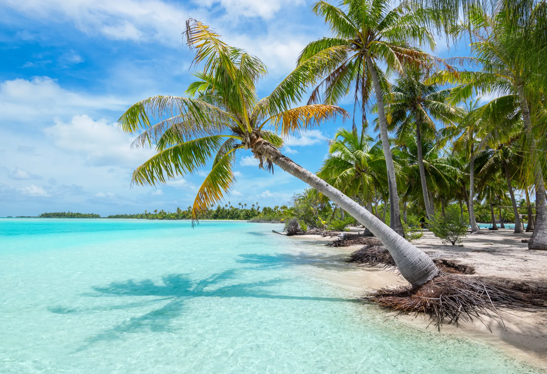 Image Beach at Fakarava