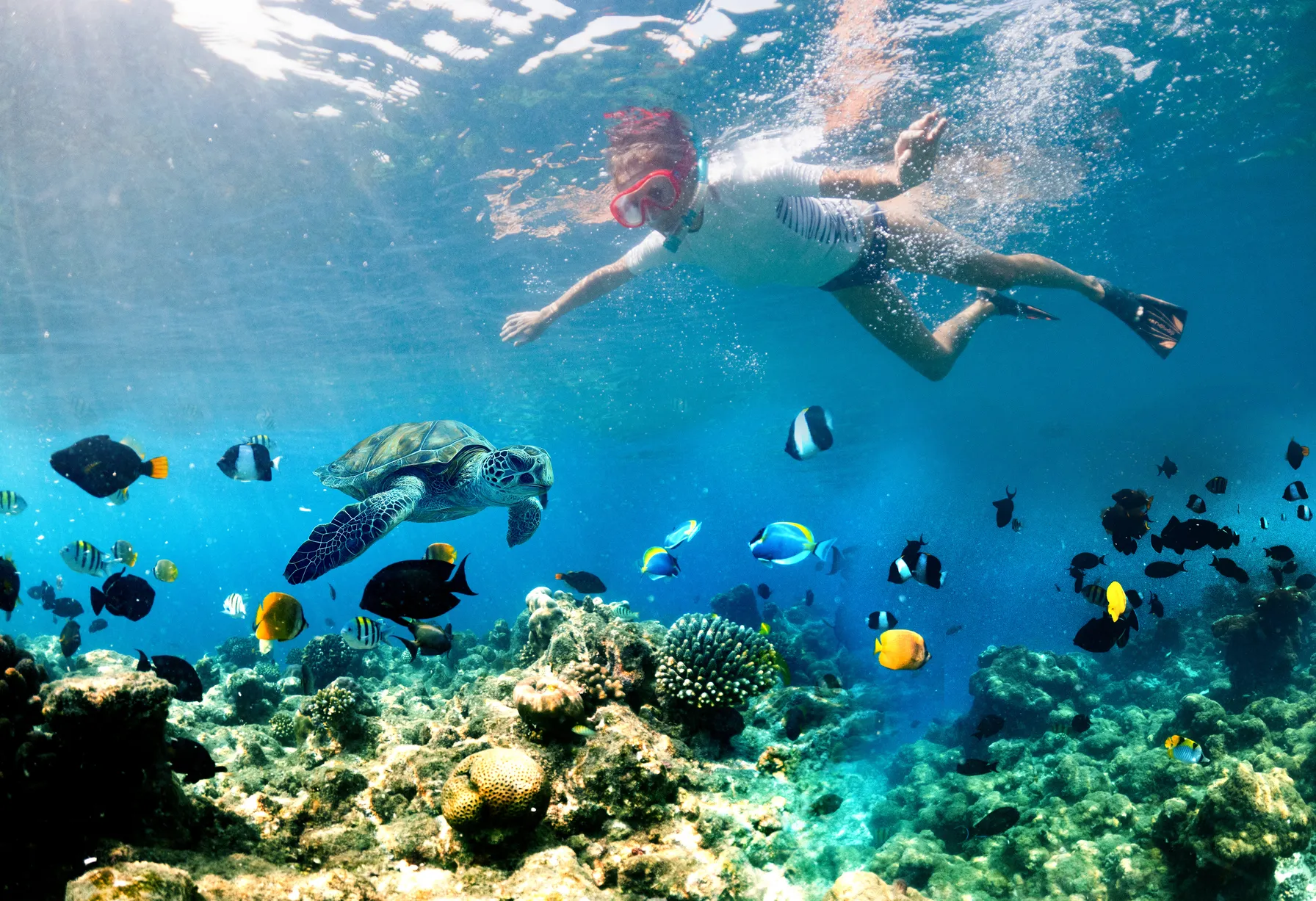 Image Diving in Thailand