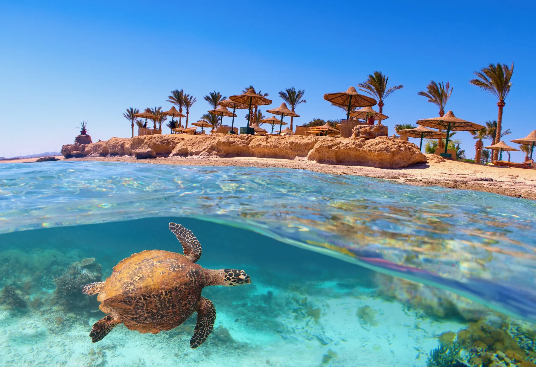Image Plongée à Hurghada