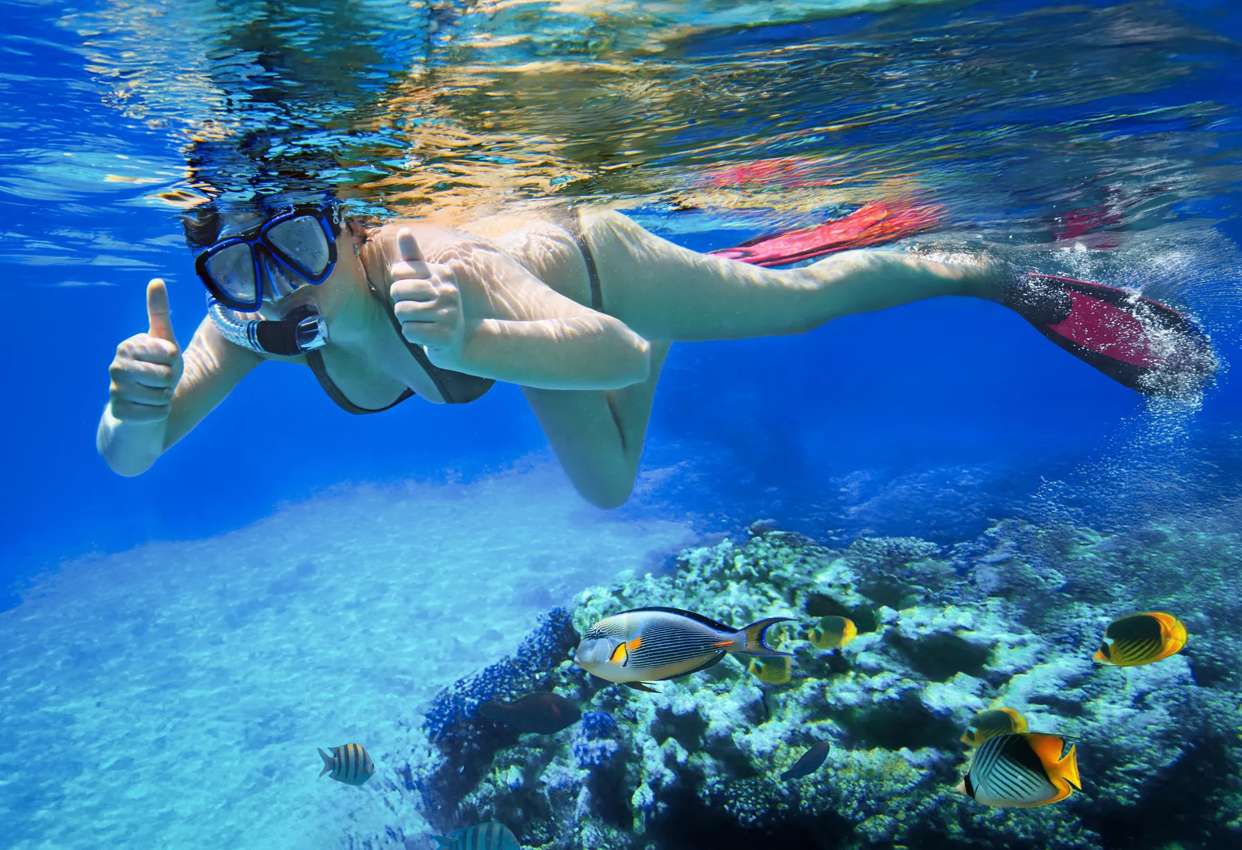 Image Diving in the Red Sea