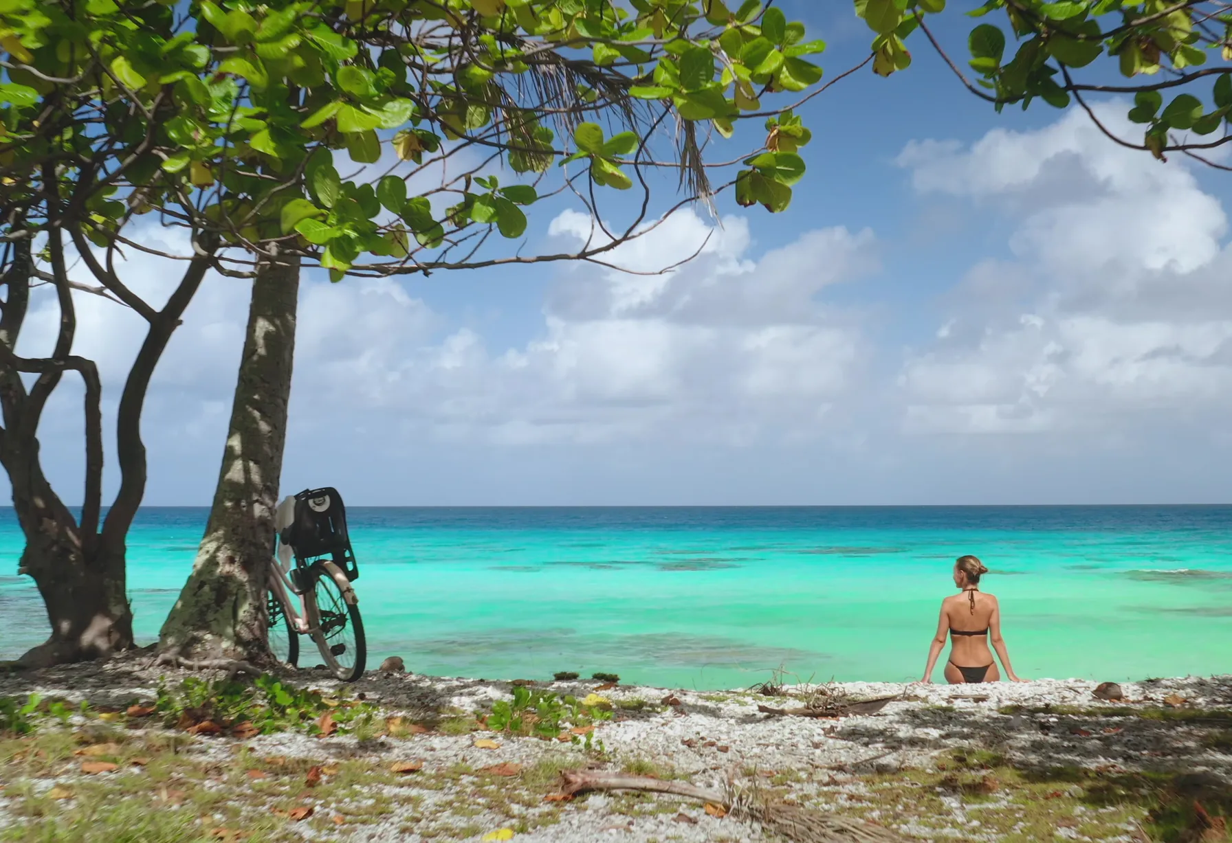 Image What to do in Rangiroa