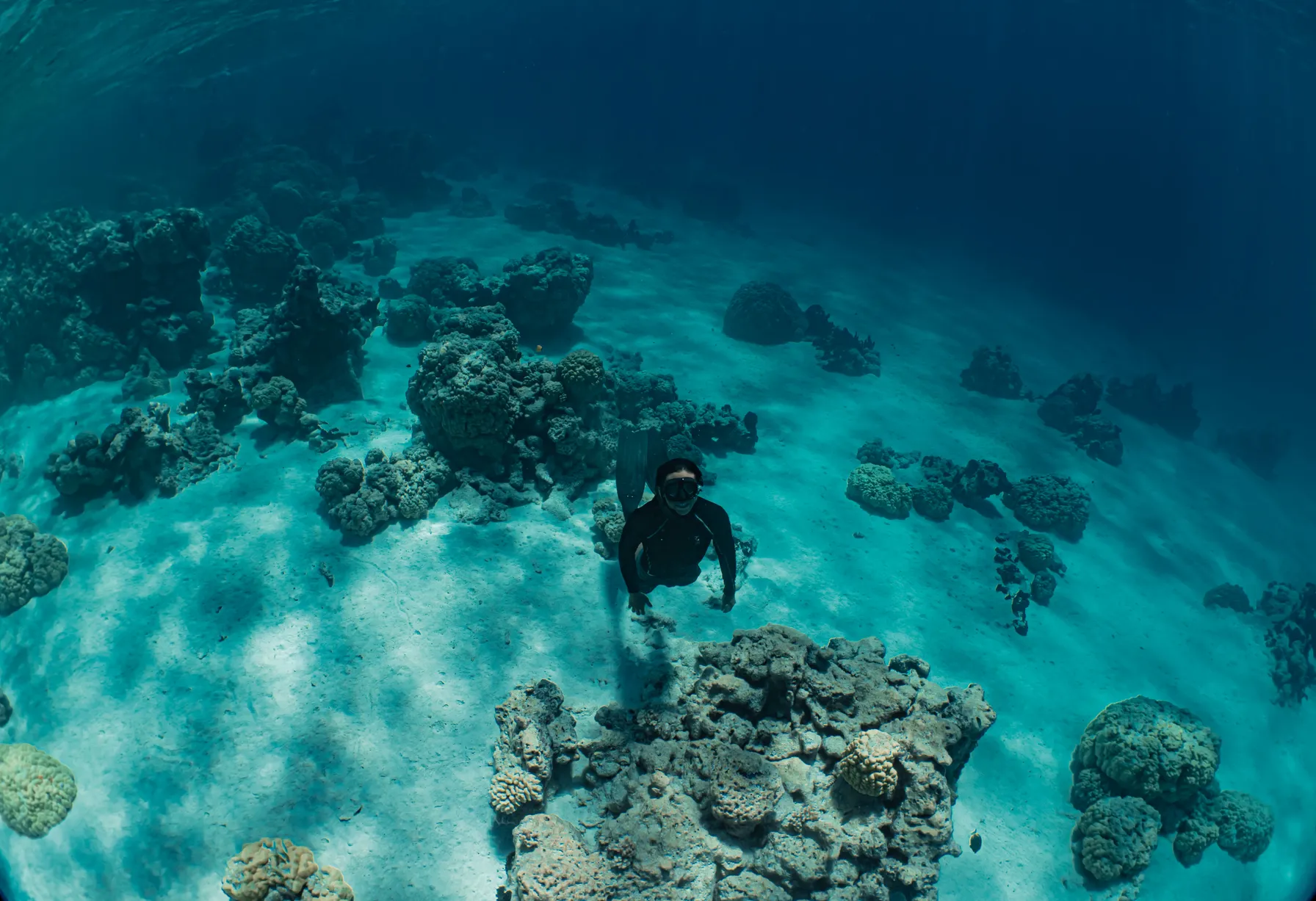 Image What to do in Fakarava