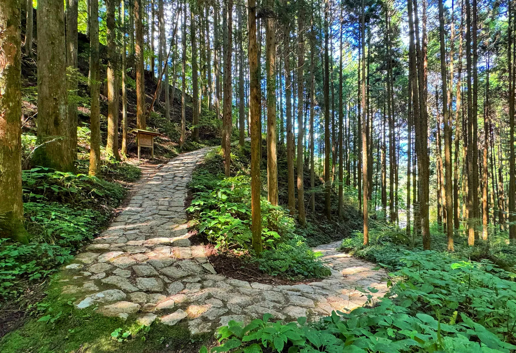 Image Hiking in Japan