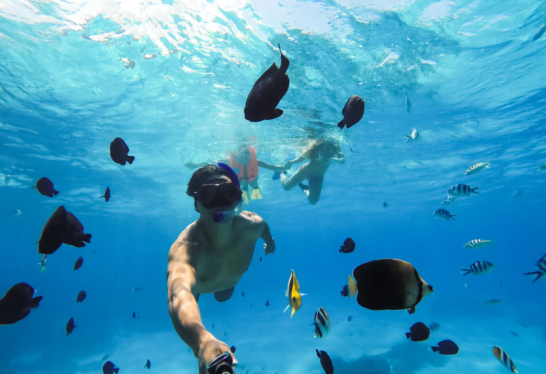 Image Tahiti en juin