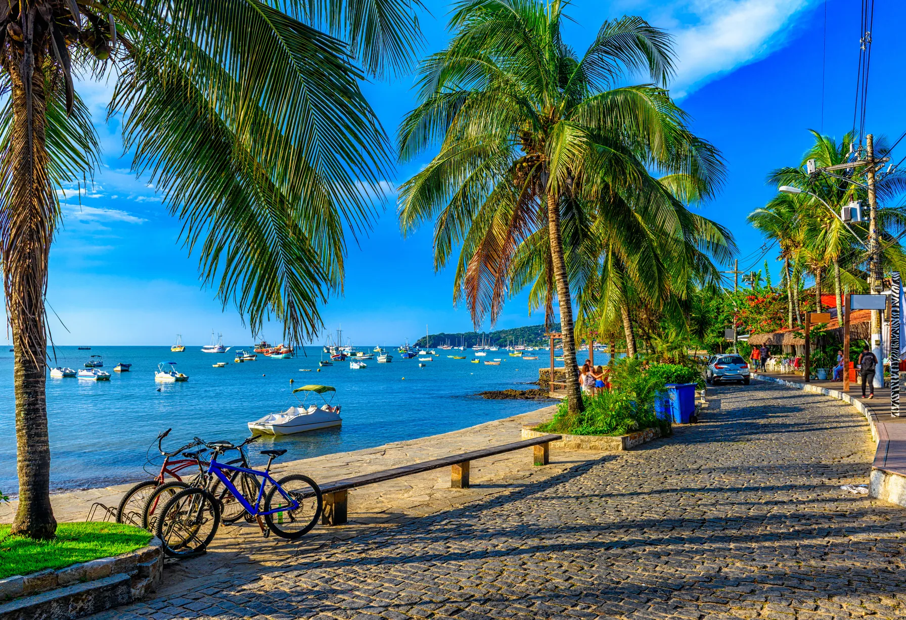 Image Activities in Brazil