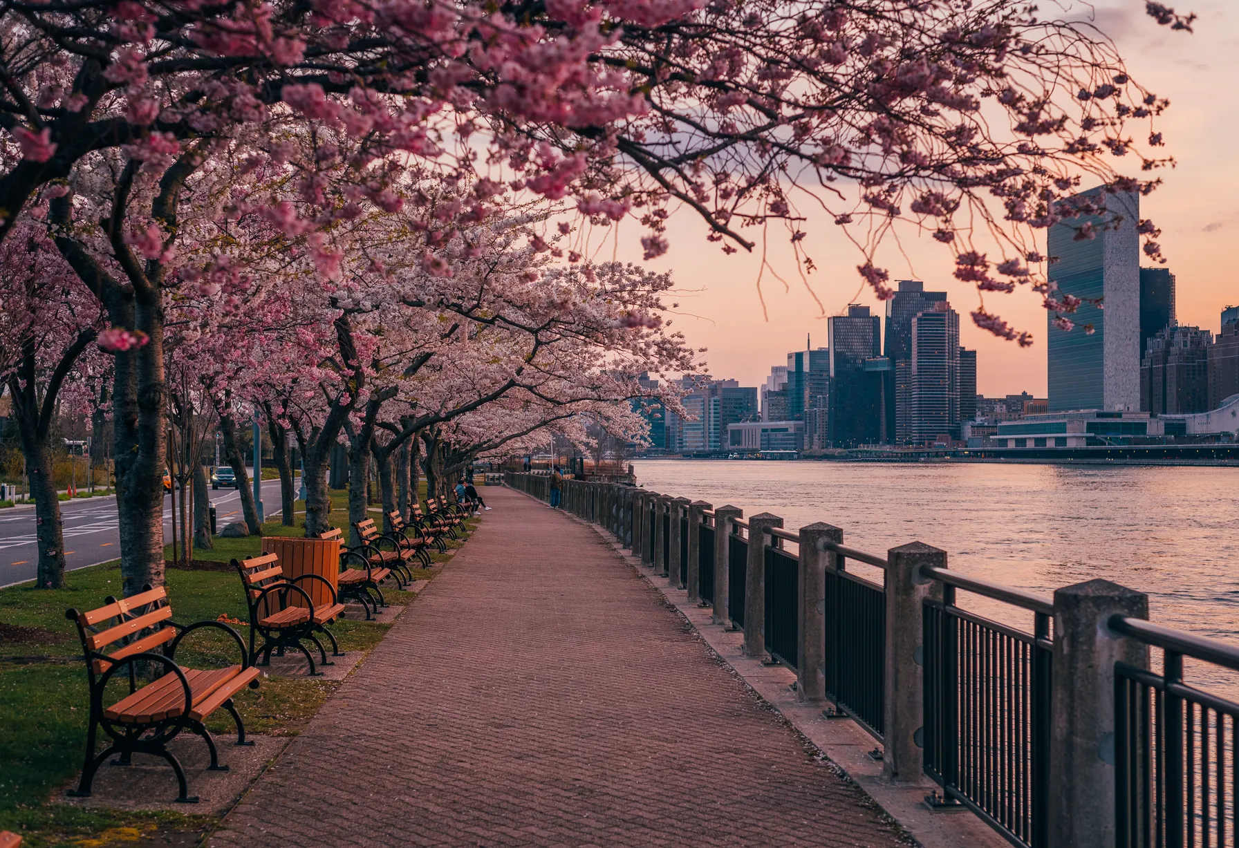 Image New York in June