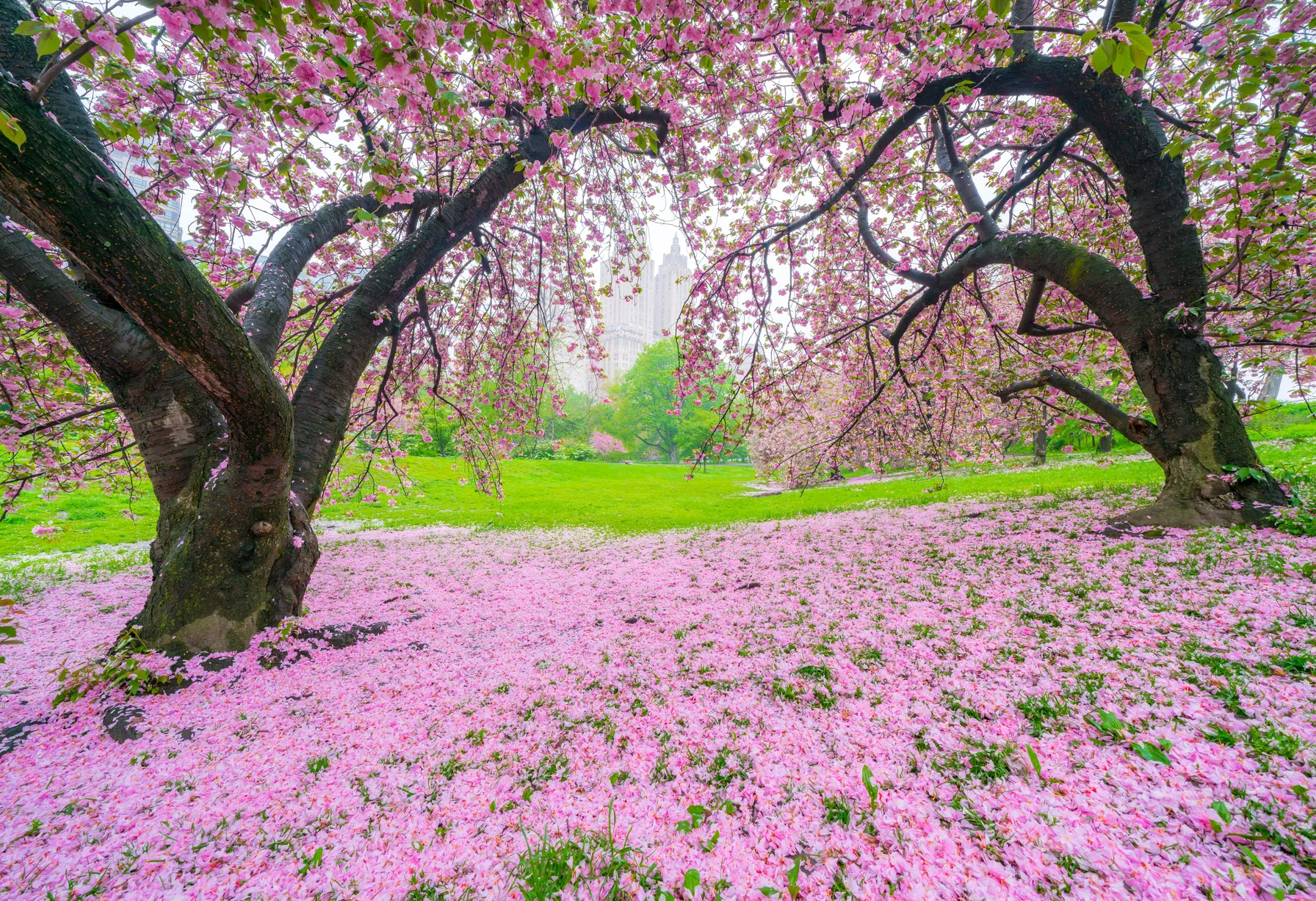 Image New York in May
