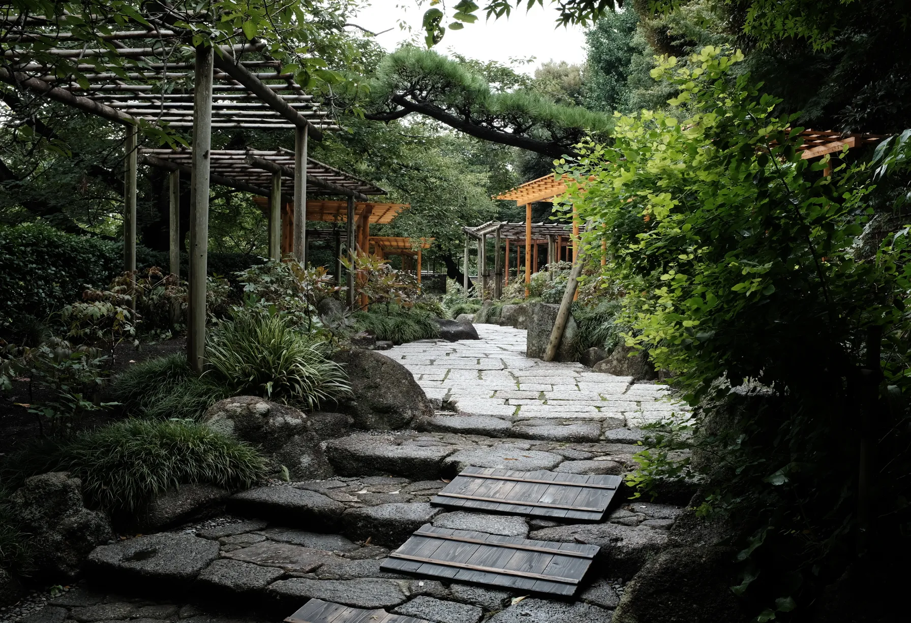 Image Randonnée à Kamakura