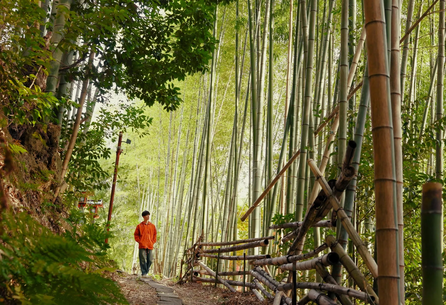 Image Hiking in Kyoto