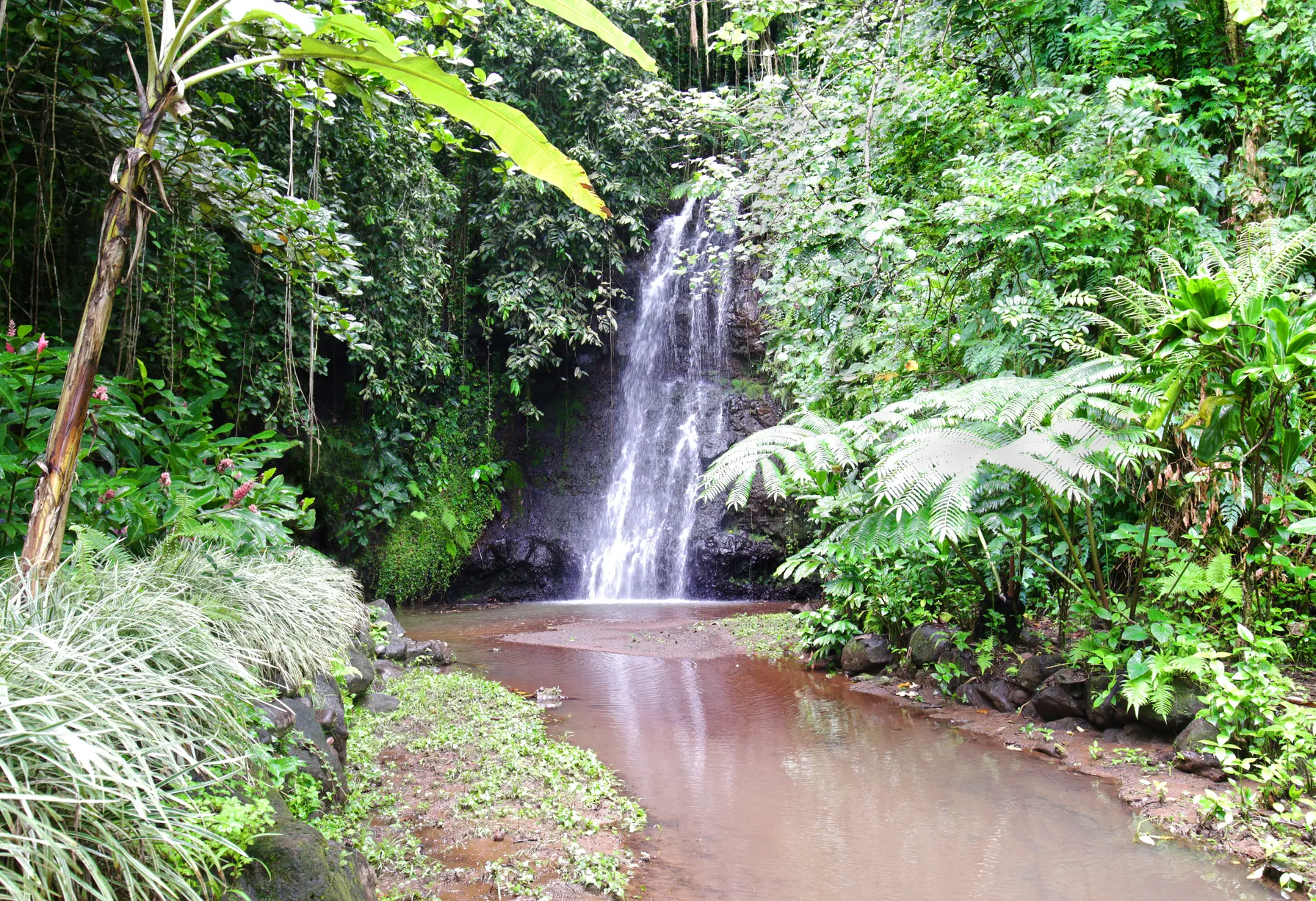 Image Hiking in Papeete