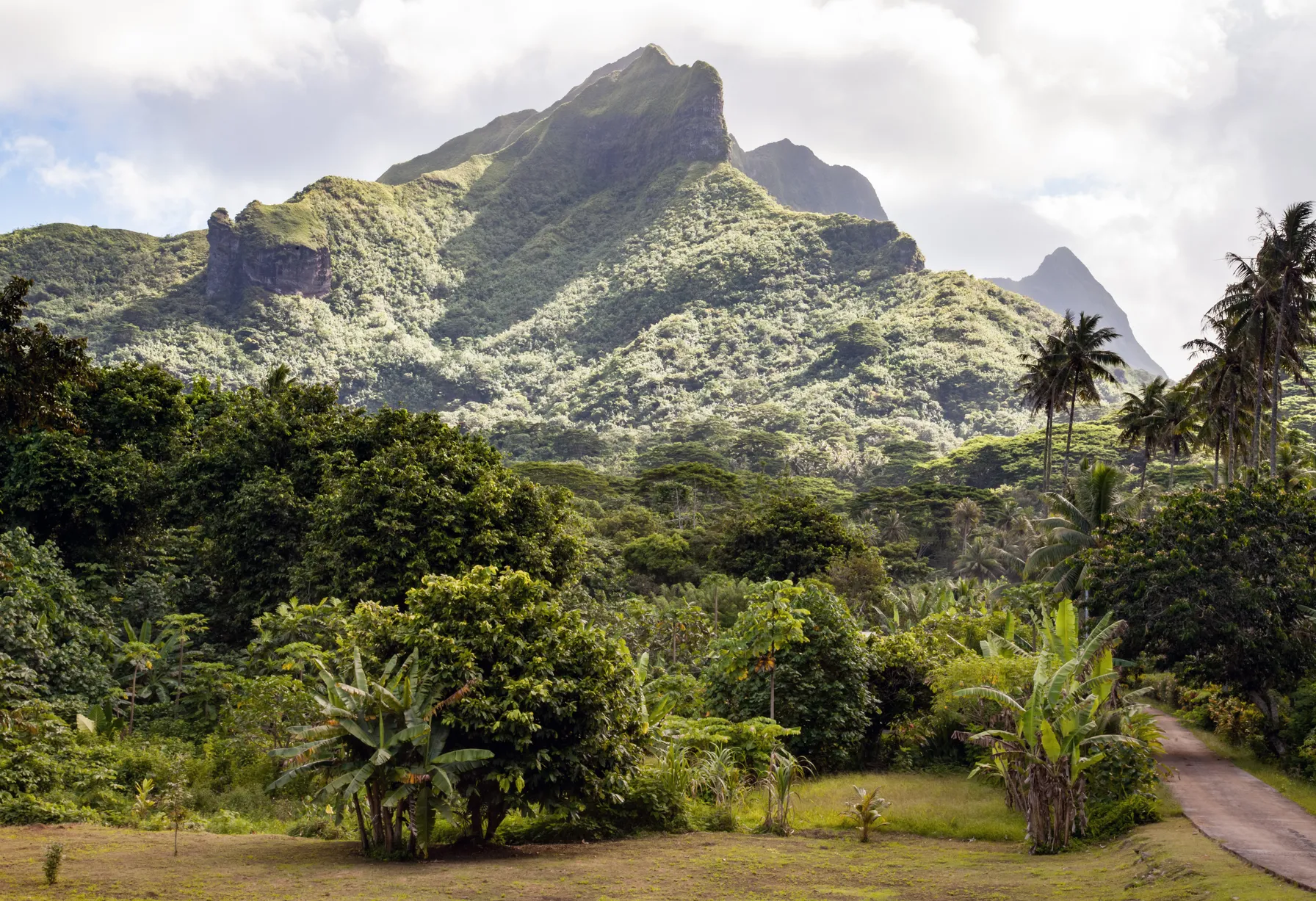 Image Randonnée à Raiatea