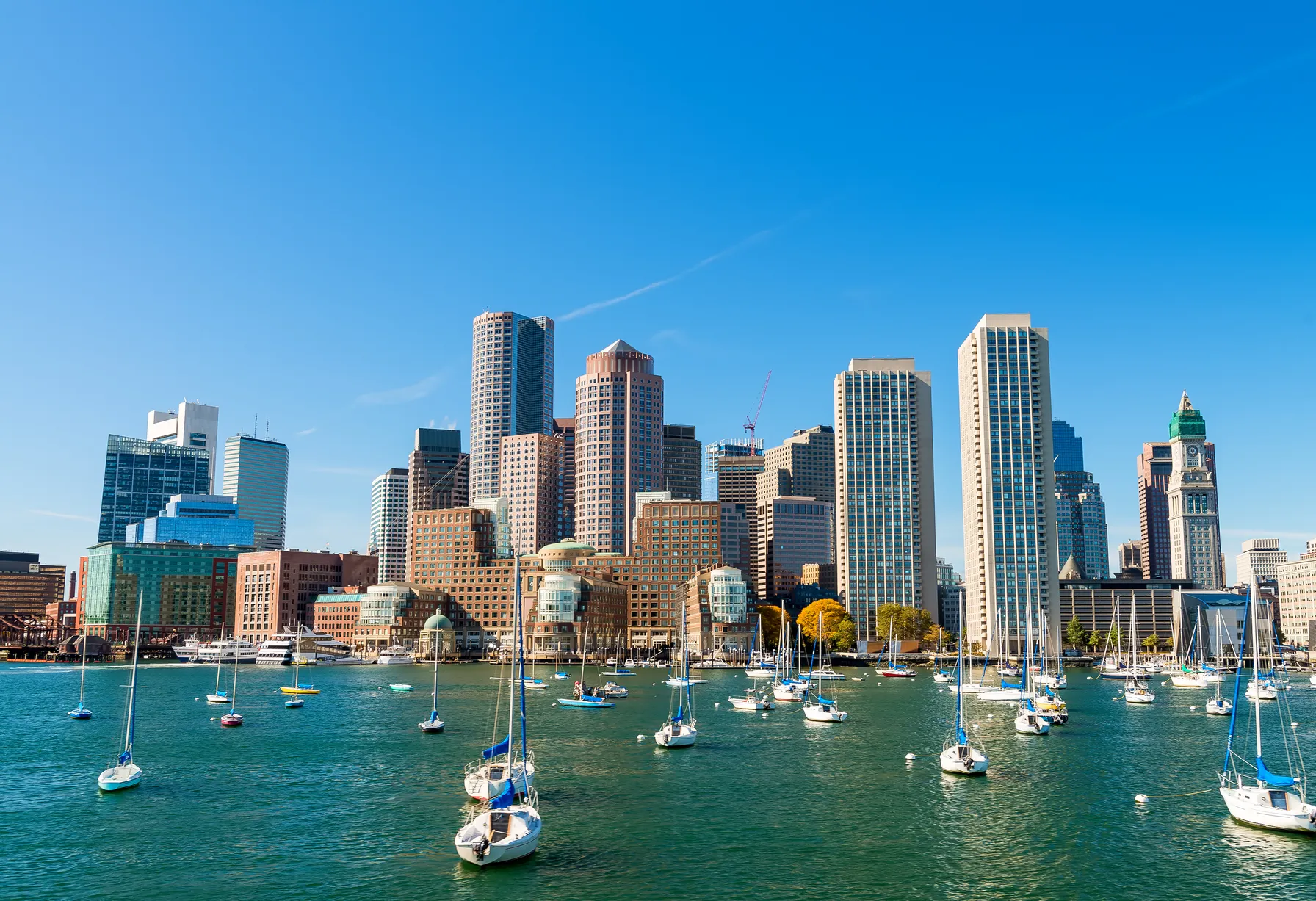 Image Activities in Boston
