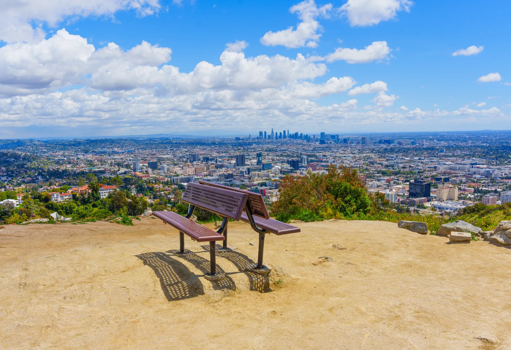 Image Activities in Los Angeles
