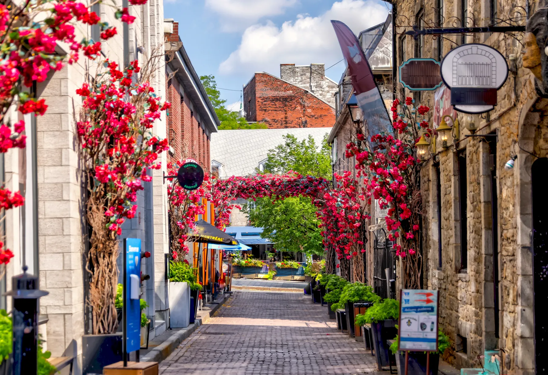 Image Activités à Montréal