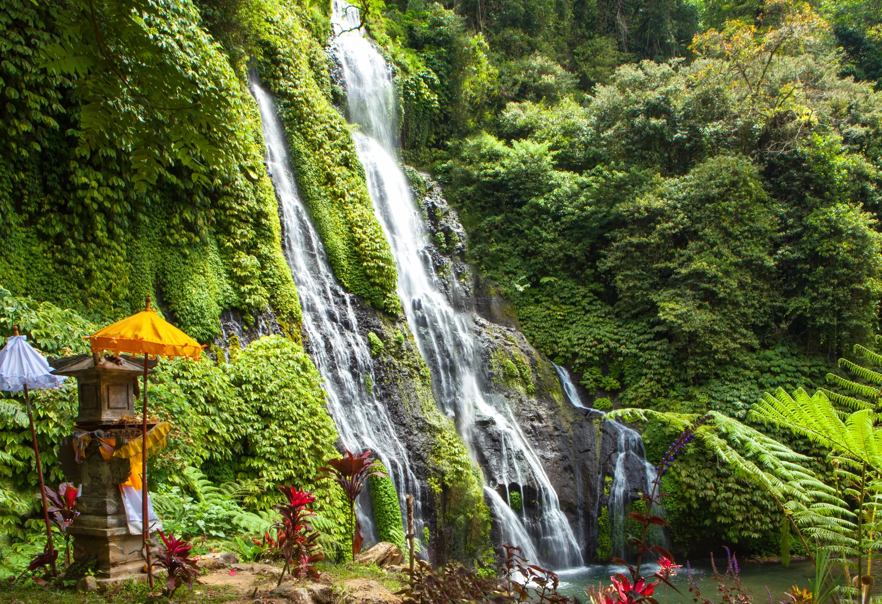 Image Bali in May