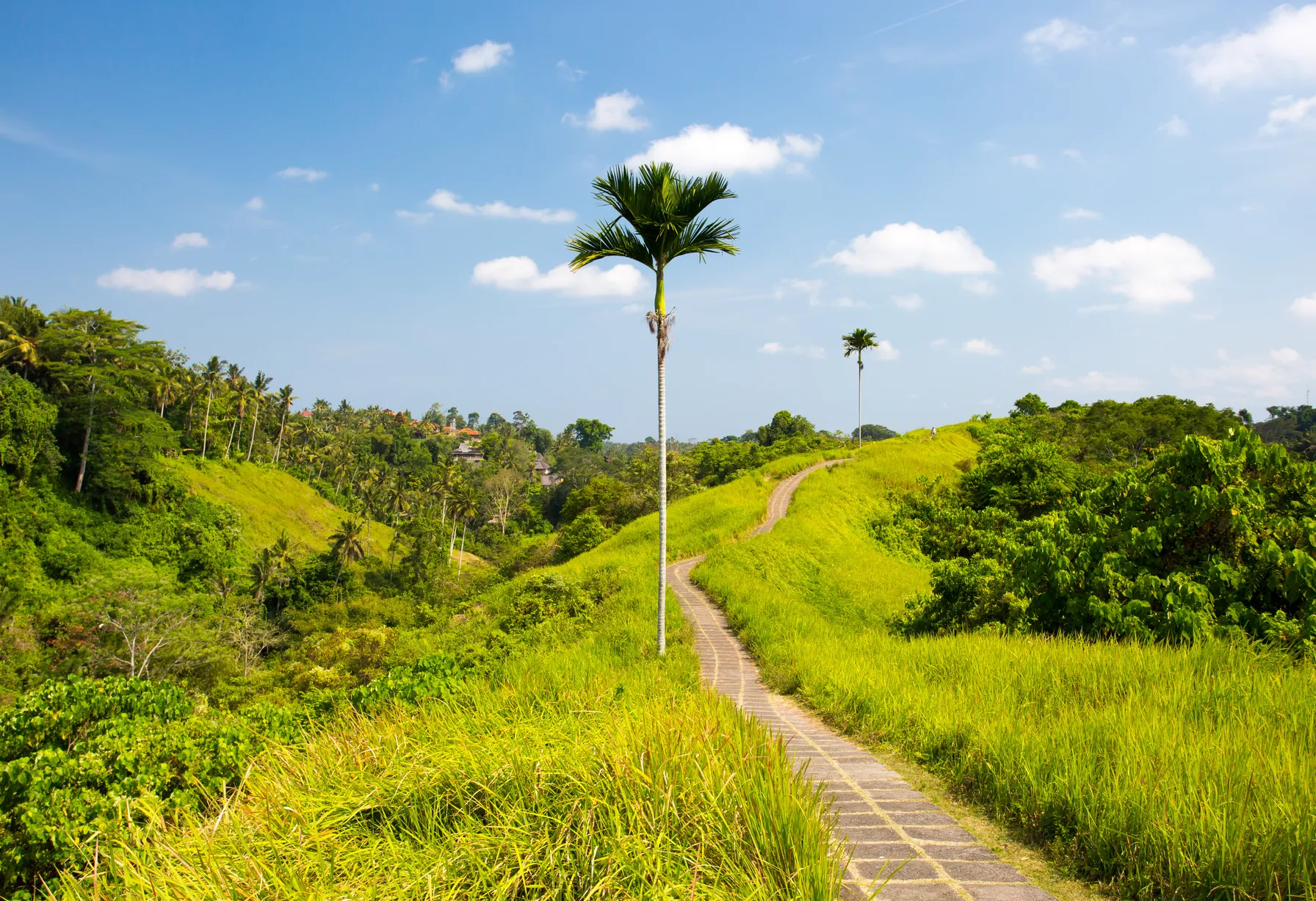 Image Bali en janvier