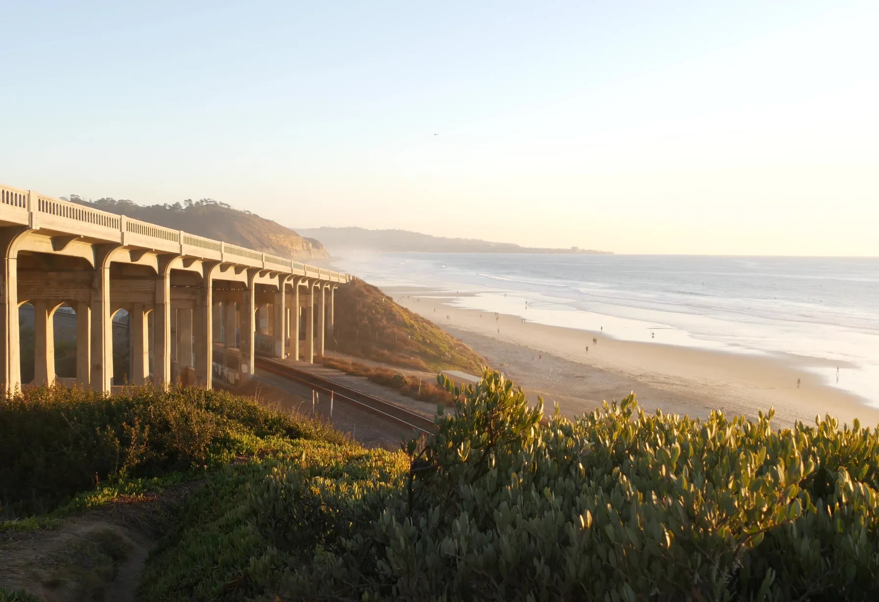 Image Guide in California