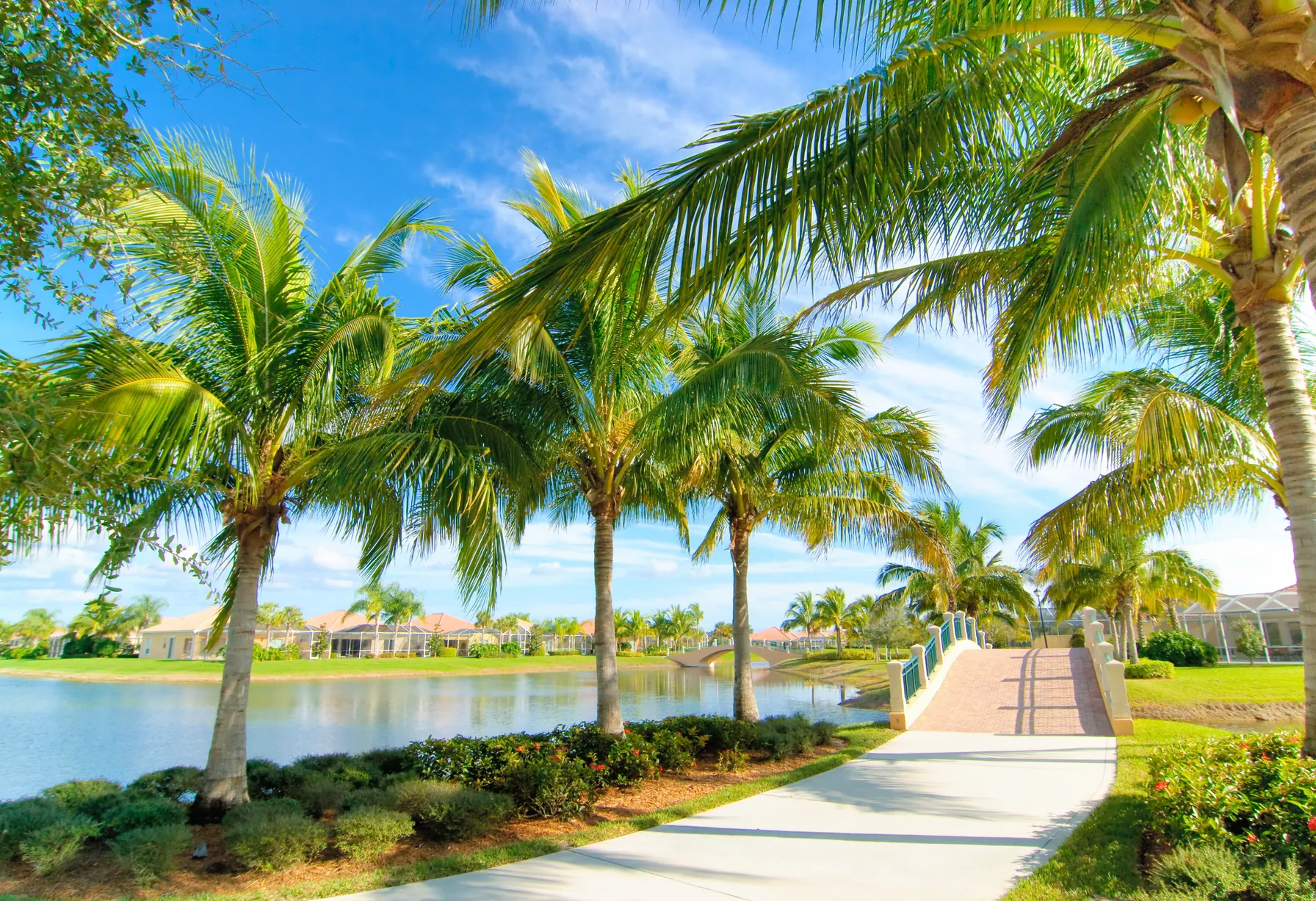 Image Floride en août