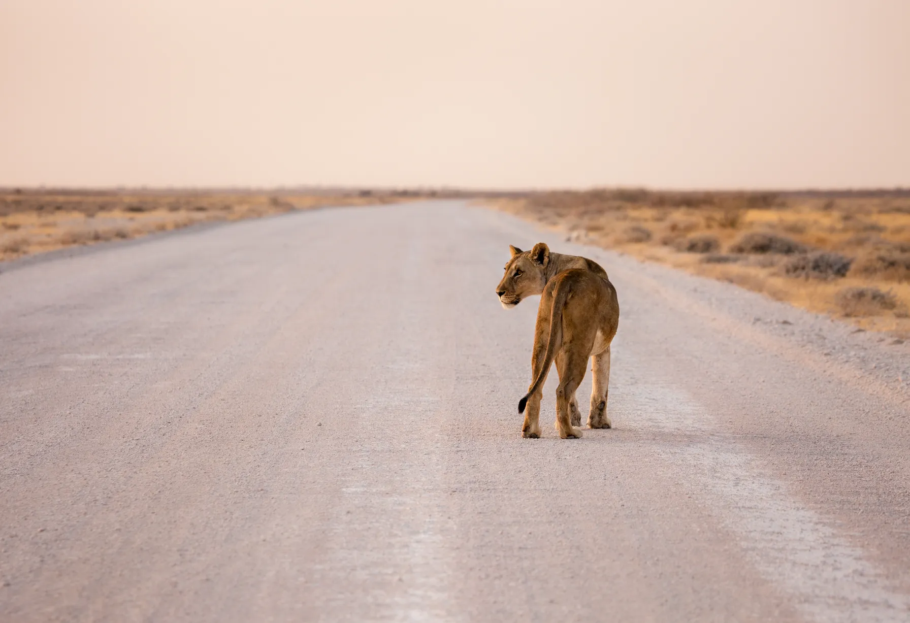 Image Guide sur la Namibie