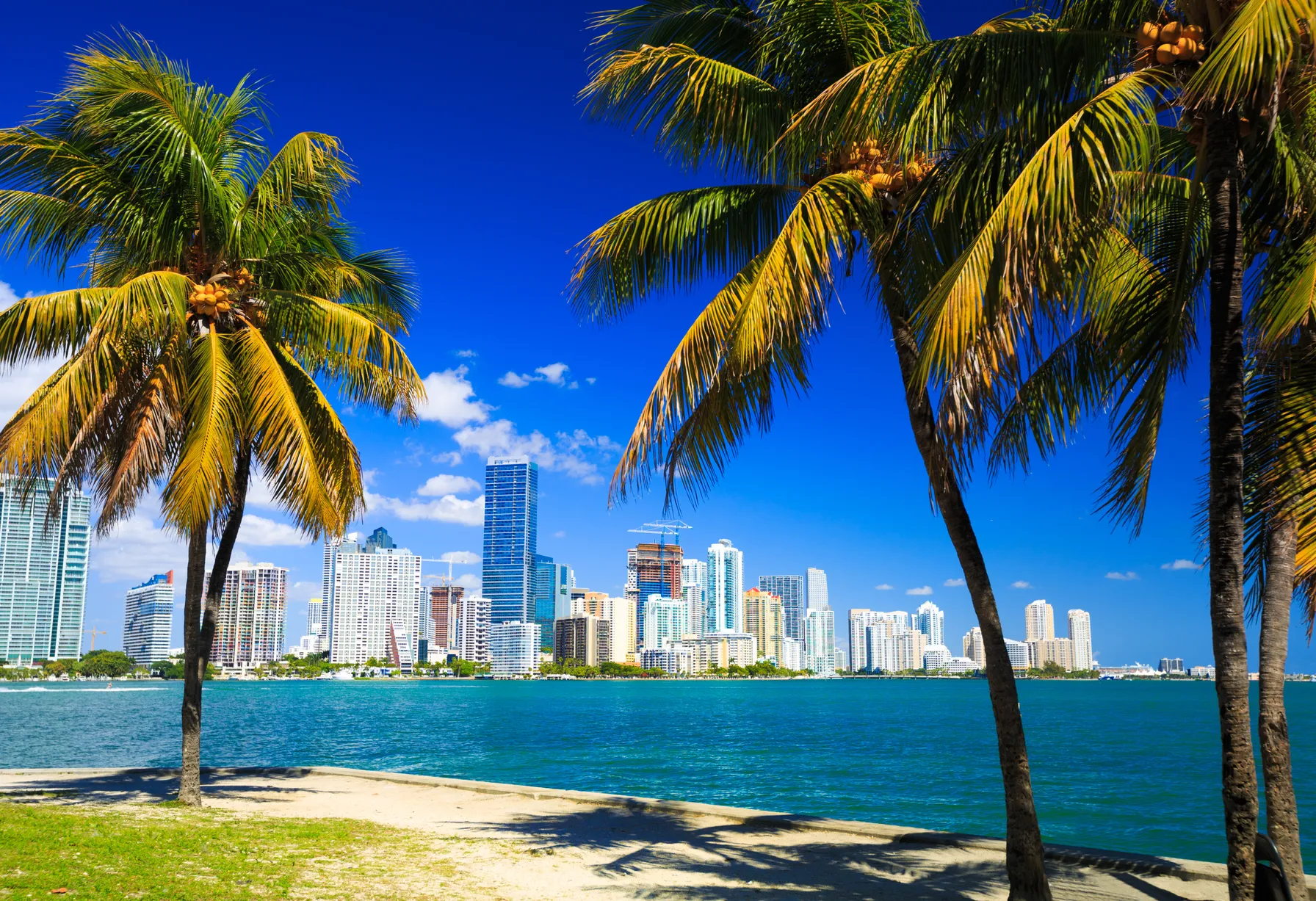 Image Miami in December