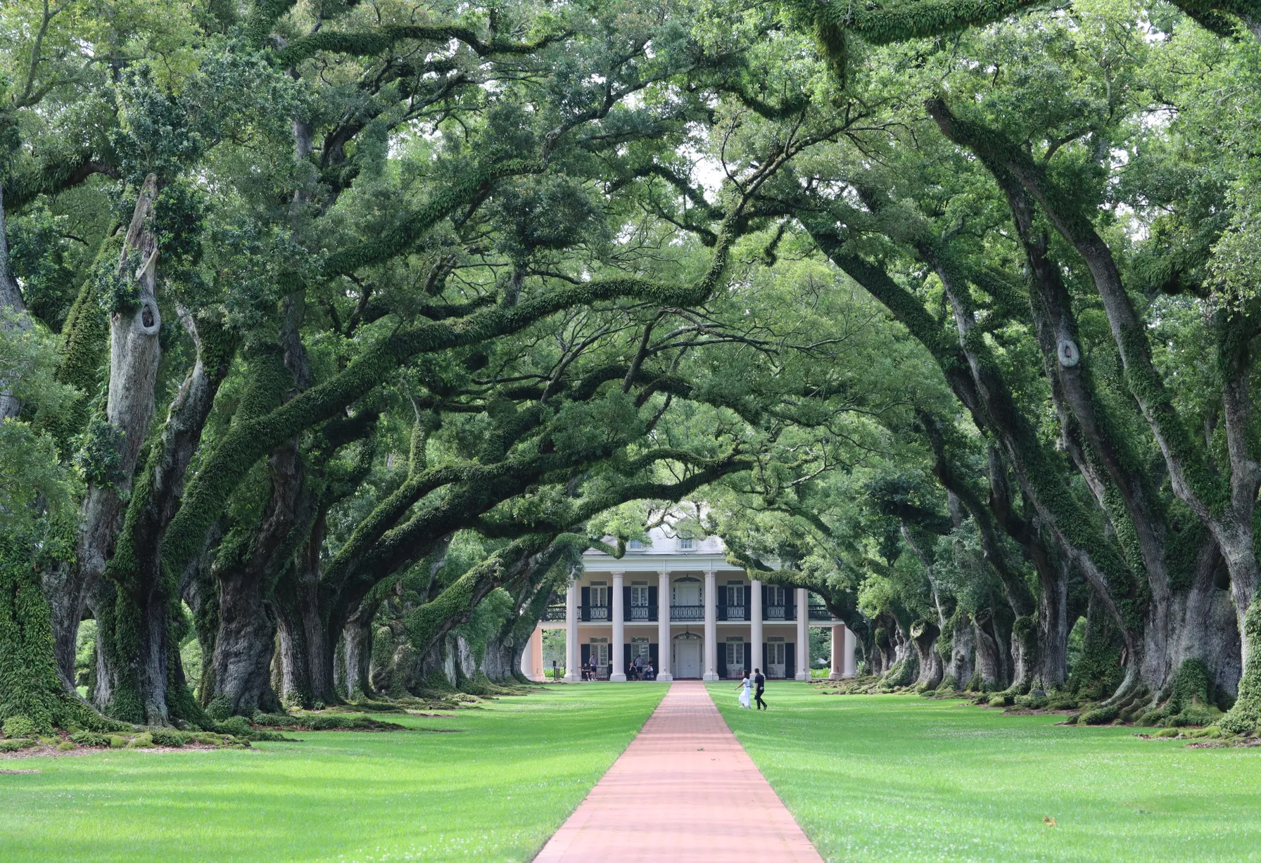 Image What to do in Louisiana
