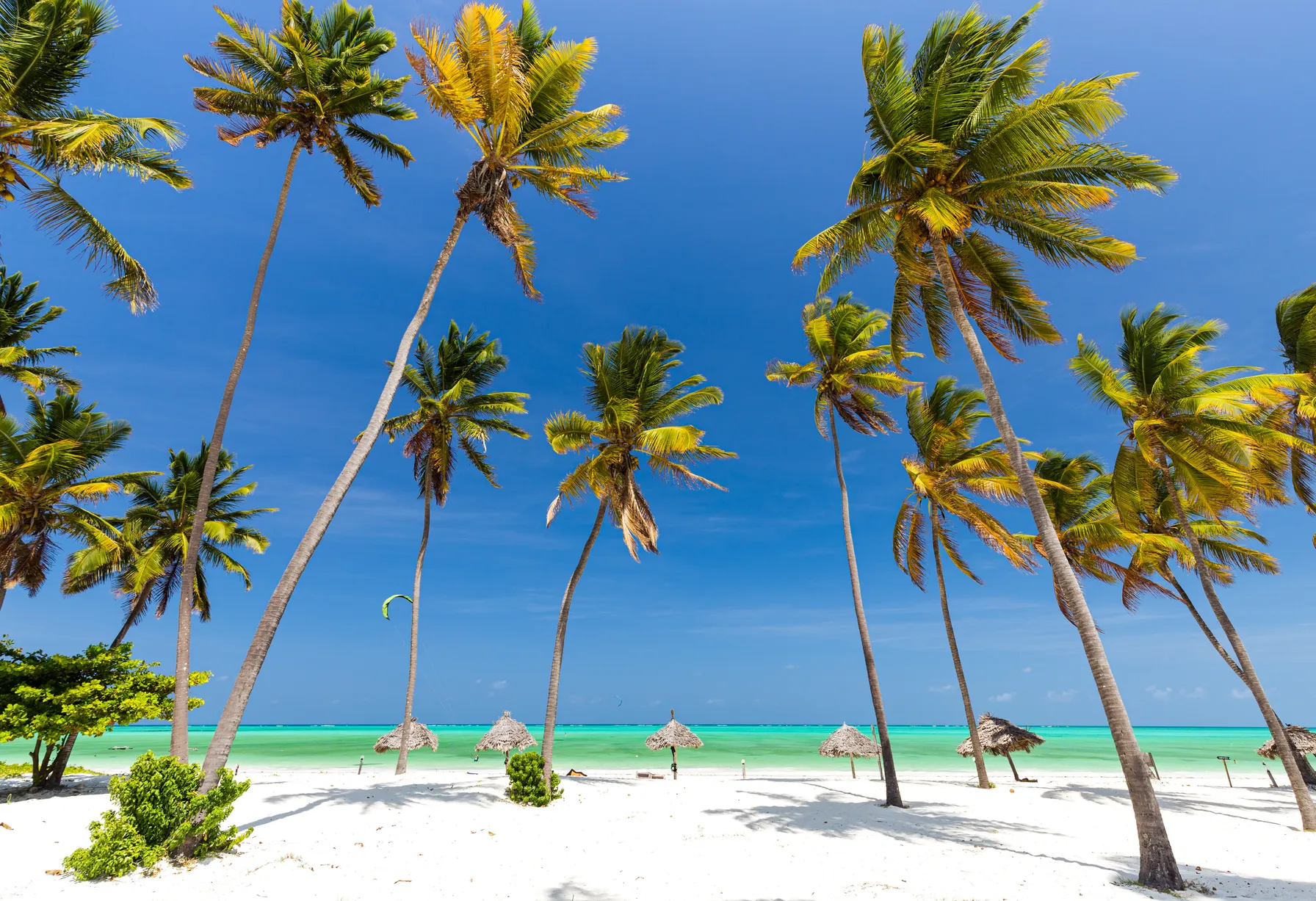 Image Plage à Zanzibar