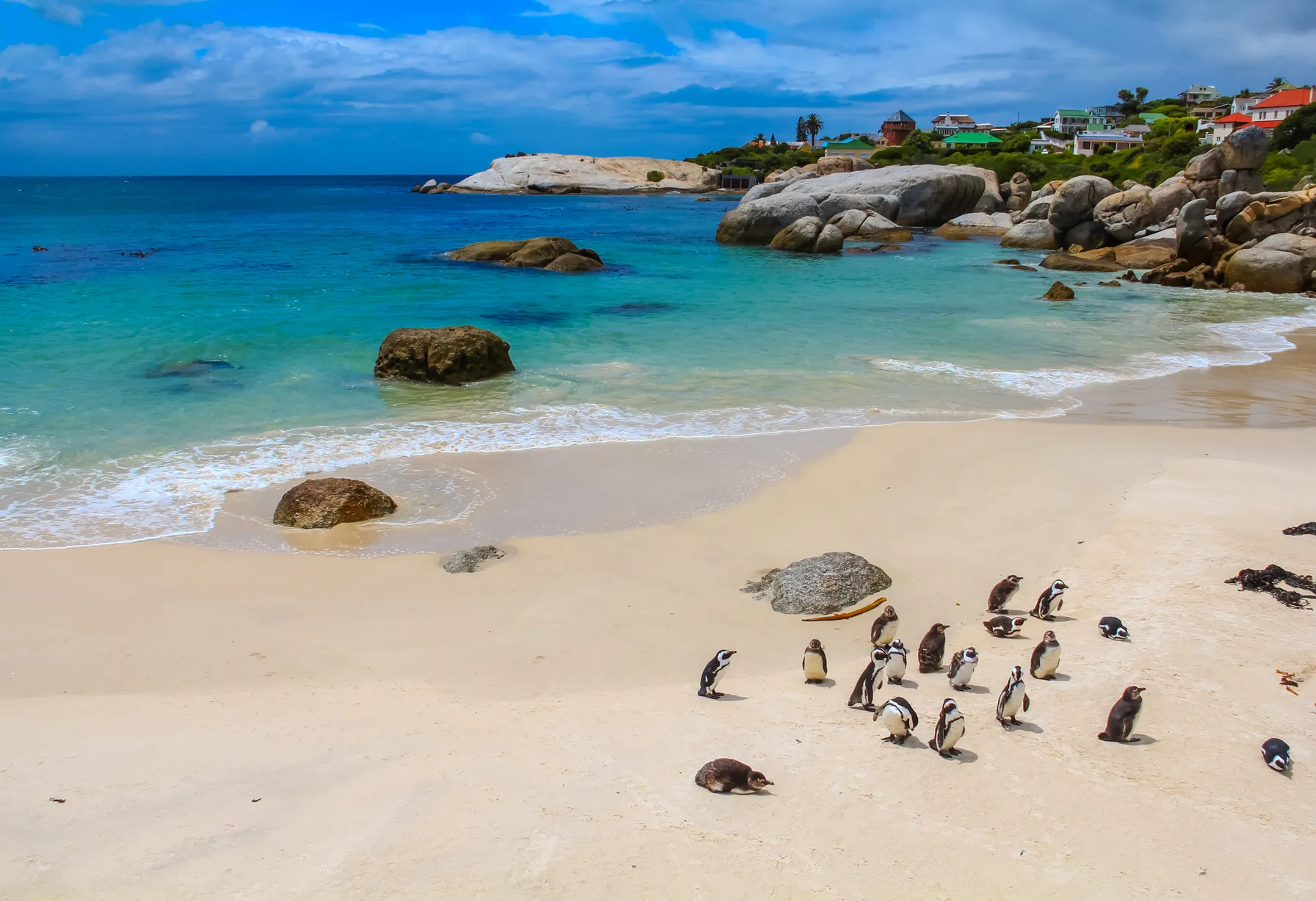 Image Plage en Afrique du Sud
