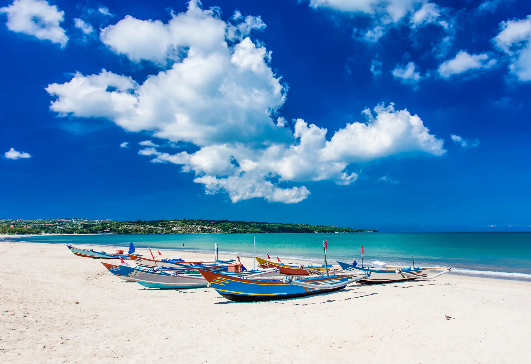 Image When to go to Bali