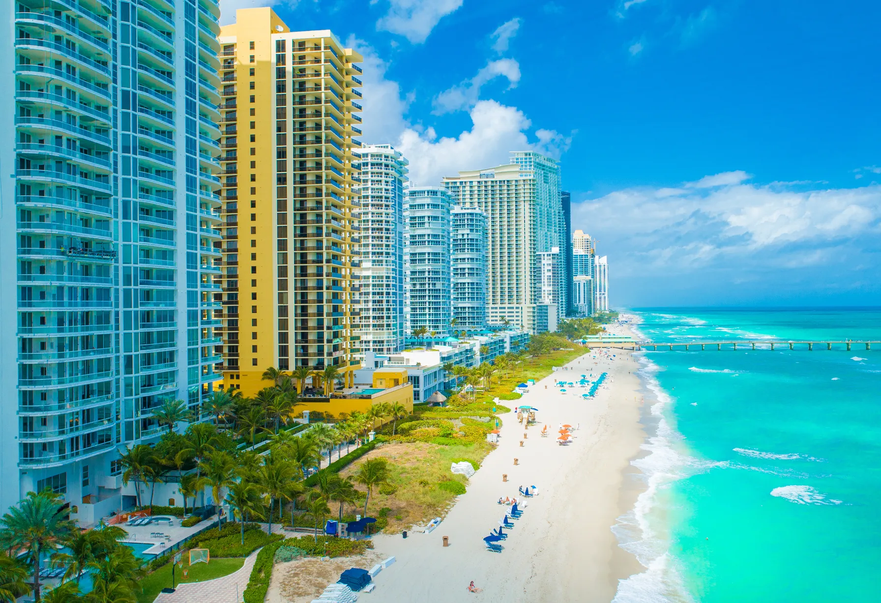 Image Que faire à Miami