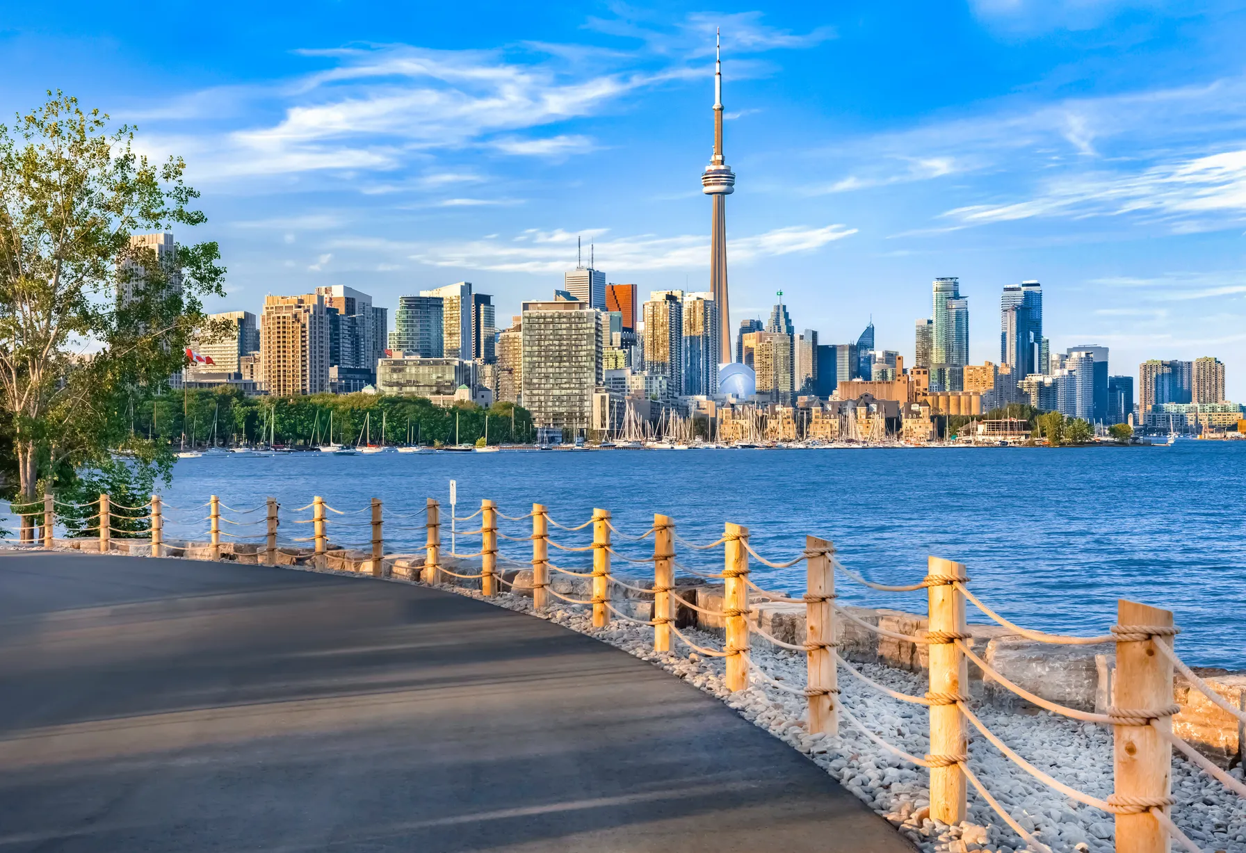 Image Que faire à Toronto