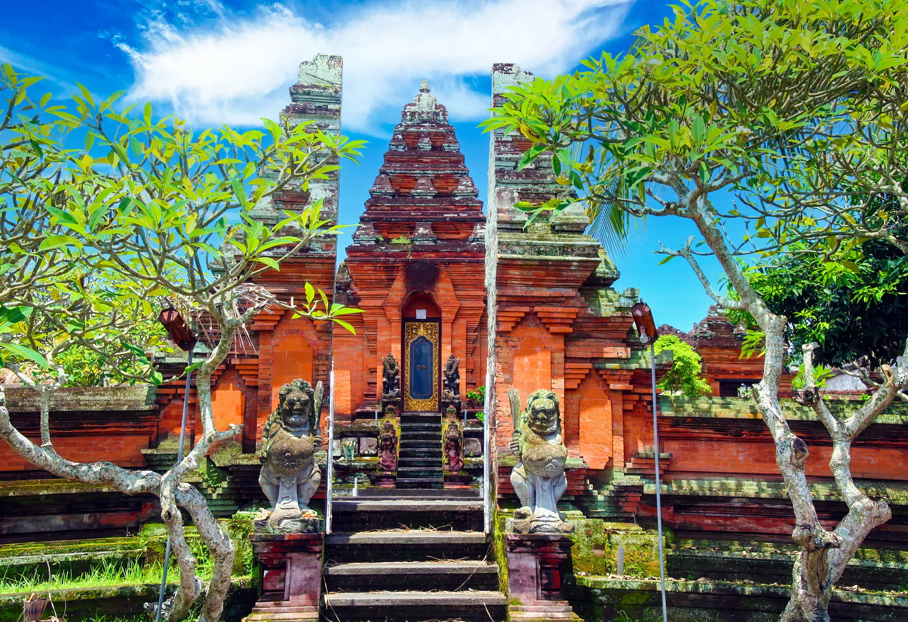 Image Que faire à Ubud