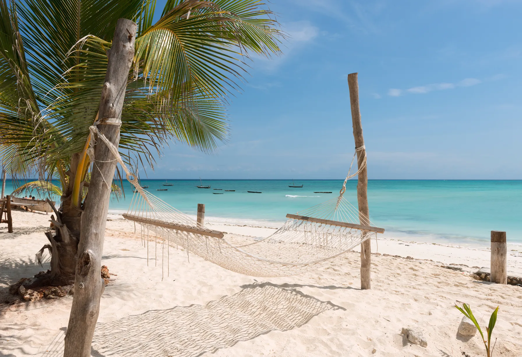 Image Que faire à Zanzibar