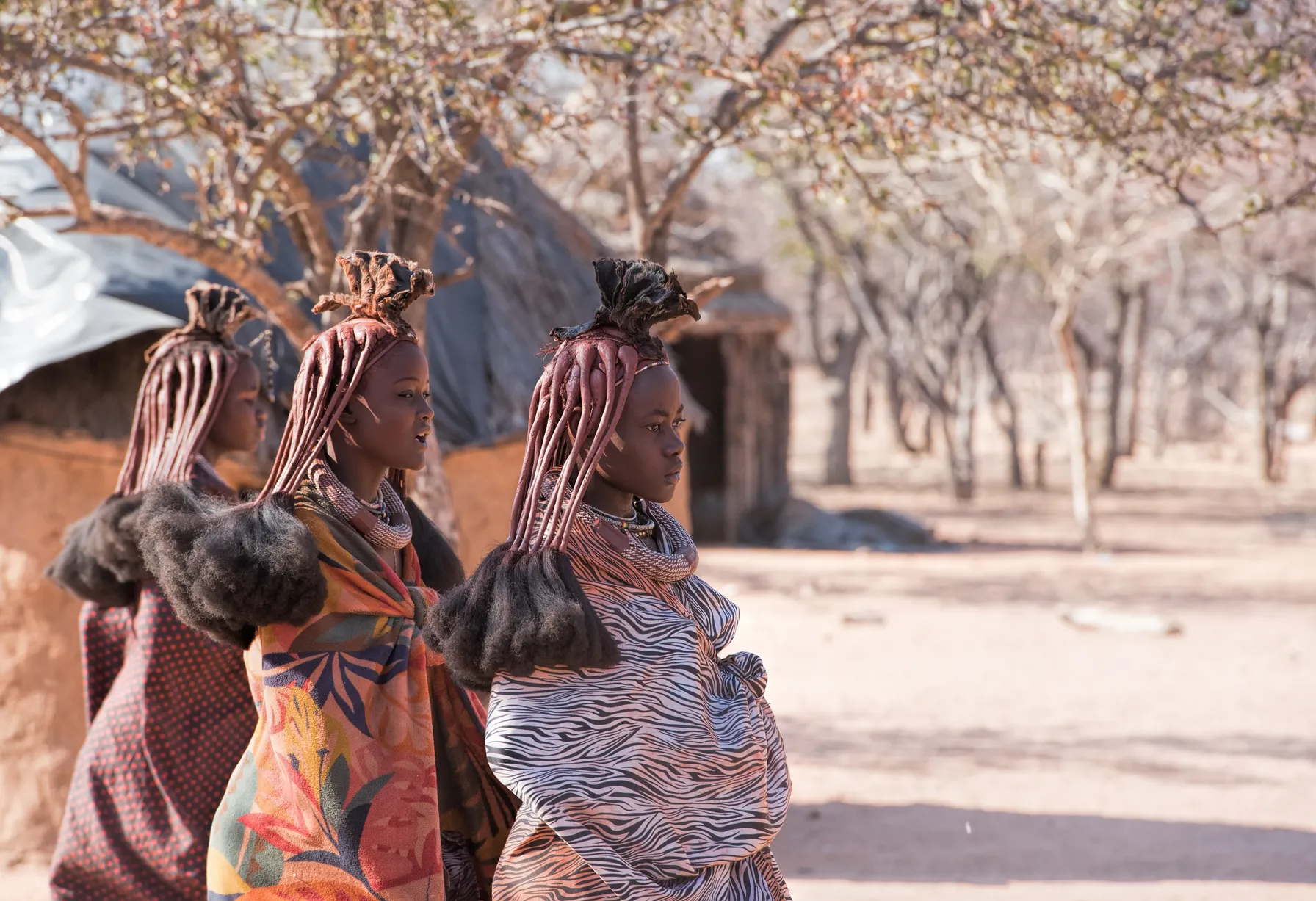 Image Que faire en Namibie